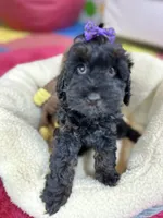 processed/73ed245b-ab36-4eee-ba22-60731d5b332c/listing/862929d4-f888-4077-bc15-73859306ca8d/f3cdffa3-11e3-4f3c-abe0-1e4c27a8a03e