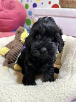 processed/73ed245b-ab36-4eee-ba22-60731d5b332c/listing/862929d4-f888-4077-bc15-73859306ca8d/fff0f729-feed-4a40-b94e-a28bd854bf71