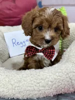 processed/73ed245b-ab36-4eee-ba22-60731d5b332c/listing/baa280bd-ca93-4e21-b489-895689b55d06/0ed45687-65ce-4a8c-ad5a-7c04d19f3a07