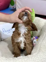 processed/73ed245b-ab36-4eee-ba22-60731d5b332c/listing/baa280bd-ca93-4e21-b489-895689b55d06/7fbdb904-350c-458c-8eb2-e649601df1b8