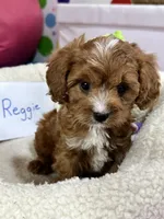 processed/73ed245b-ab36-4eee-ba22-60731d5b332c/listing/baa280bd-ca93-4e21-b489-895689b55d06/aa956555-ed2f-46da-9ddd-78f4143591d9