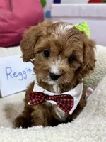 processed/73ed245b-ab36-4eee-ba22-60731d5b332c/listing/baa280bd-ca93-4e21-b489-895689b55d06/aba9fb04-e804-4d50-82a1-012f73e7e887