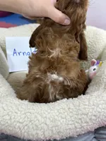 processed/73ed245b-ab36-4eee-ba22-60731d5b332c/listing/ce7ea8bf-c2ea-40da-ab7a-680603d8f5af/092c1545-d9a3-40c4-9f51-8edae4644076