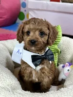 processed/73ed245b-ab36-4eee-ba22-60731d5b332c/listing/ce7ea8bf-c2ea-40da-ab7a-680603d8f5af/21013fb1-5993-43ef-a7c0-25732283f0db