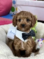 processed/73ed245b-ab36-4eee-ba22-60731d5b332c/listing/ce7ea8bf-c2ea-40da-ab7a-680603d8f5af/296bbfe3-414f-4e6e-8d3a-dcc93be27d0f