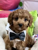 processed/73ed245b-ab36-4eee-ba22-60731d5b332c/listing/ce7ea8bf-c2ea-40da-ab7a-680603d8f5af/38721efb-1419-42ae-b923-323f2d75d28b