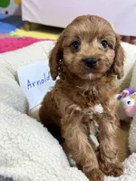 processed/73ed245b-ab36-4eee-ba22-60731d5b332c/listing/ce7ea8bf-c2ea-40da-ab7a-680603d8f5af/42c16e07-3bc1-4b6c-b6b6-1b8d3e6a28f1