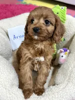 processed/73ed245b-ab36-4eee-ba22-60731d5b332c/listing/ce7ea8bf-c2ea-40da-ab7a-680603d8f5af/af10f64e-20f9-41cc-bafb-004d19742b88