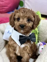 processed/73ed245b-ab36-4eee-ba22-60731d5b332c/listing/ce7ea8bf-c2ea-40da-ab7a-680603d8f5af/cec3f39b-fe22-4b16-b835-2c1a79696d17