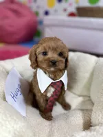 processed/73ed245b-ab36-4eee-ba22-60731d5b332c/listing/eb23cb35-9cc2-4618-aef1-6f2952162d06/275fe2cd-05e0-44c4-84e4-a2208f75a63c