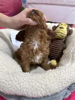 processed/73ed245b-ab36-4eee-ba22-60731d5b332c/listing/eb23cb35-9cc2-4618-aef1-6f2952162d06/62d57db6-fd7c-400c-a1db-ebb0310296fe