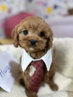 processed/73ed245b-ab36-4eee-ba22-60731d5b332c/listing/eb23cb35-9cc2-4618-aef1-6f2952162d06/b43d42b0-58a1-4e0b-bcc4-2f9d98282b5f