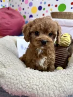 processed/73ed245b-ab36-4eee-ba22-60731d5b332c/listing/eb23cb35-9cc2-4618-aef1-6f2952162d06/b48968fb-71eb-41cb-b29b-26600586bcb2