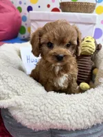 processed/73ed245b-ab36-4eee-ba22-60731d5b332c/listing/eb23cb35-9cc2-4618-aef1-6f2952162d06/d3cb6381-f358-4ad6-9f41-e9b468981cec