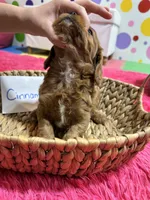 processed/73ed245b-ab36-4eee-ba22-60731d5b332c/listing/fde1fb2c-196c-4fbe-9069-f2c8f3be3b5c/237e0a24-db30-45a7-91bc-26d97c187824