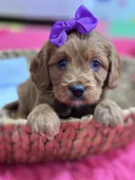 processed/73ed245b-ab36-4eee-ba22-60731d5b332c/listing/fde1fb2c-196c-4fbe-9069-f2c8f3be3b5c/458a20ba-b4d7-4e62-a021-a4a258c71b9f