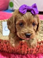 processed/73ed245b-ab36-4eee-ba22-60731d5b332c/listing/fde1fb2c-196c-4fbe-9069-f2c8f3be3b5c/cf64d36f-354b-46fa-bc95-68c672128ee4