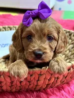 processed/73ed245b-ab36-4eee-ba22-60731d5b332c/listing/fde1fb2c-196c-4fbe-9069-f2c8f3be3b5c/e6184e22-ac5b-4fad-9ffb-42813476169b