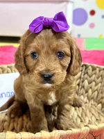 processed/73ed245b-ab36-4eee-ba22-60731d5b332c/listing/fde1fb2c-196c-4fbe-9069-f2c8f3be3b5c/fa20e822-9955-46cd-88fb-5e46bfa6c049