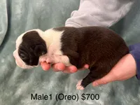 processed/73ef51f2-55c6-4b9d-b204-a3da4f26e18b/listing/24867a8f-ba18-49f6-9bc8-9d61a300a8de/c5025b80-d43f-4ae2-be11-fa286ba65731