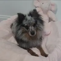 processed/73fbab44-e157-42cf-9d98-67ebfa04315c/facility/12ef1f7b-58eb-4ead-beba-f9a084f4dc2a