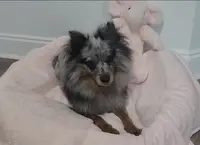 processed/73fbab44-e157-42cf-9d98-67ebfa04315c/facility/12ef1f7b-58eb-4ead-beba-f9a084f4dc2a