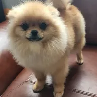 processed/73fbab44-e157-42cf-9d98-67ebfa04315c/facility/44b83ac5-a5ae-4e88-9a61-ee159607ca7f