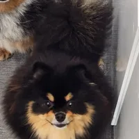 processed/73fbab44-e157-42cf-9d98-67ebfa04315c/facility/55ab834a-e419-4dc8-9053-47fff8f8c15d