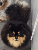 processed/73fbab44-e157-42cf-9d98-67ebfa04315c/facility/55ab834a-e419-4dc8-9053-47fff8f8c15d