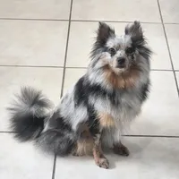 processed/73fbab44-e157-42cf-9d98-67ebfa04315c/facility/7b00bec0-9d23-4b84-9cb8-18ed79d679cf