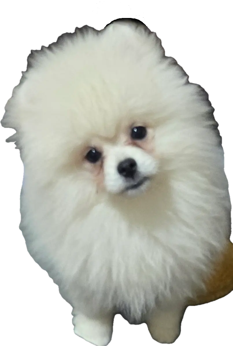 processed/73fbab44-e157-42cf-9d98-67ebfa04315c/facility/7d4e3e58-3a55-452f-90c4-afadfa6d35fb