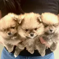 processed/73fbab44-e157-42cf-9d98-67ebfa04315c/facility/97159845-a280-4de3-aae3-6290c88d13b9