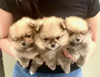 processed/73fbab44-e157-42cf-9d98-67ebfa04315c/facility/97159845-a280-4de3-aae3-6290c88d13b9