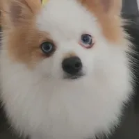 processed/73fbab44-e157-42cf-9d98-67ebfa04315c/facility/9c3d27d5-2716-49c2-b3e8-e24767baeb20