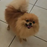 processed/73fbab44-e157-42cf-9d98-67ebfa04315c/facility/e6238ad6-a24e-48a3-902d-5ba7ffa7f850