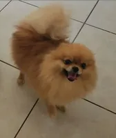 processed/73fbab44-e157-42cf-9d98-67ebfa04315c/facility/e6238ad6-a24e-48a3-902d-5ba7ffa7f850