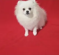 processed/73fbab44-e157-42cf-9d98-67ebfa04315c/listing/5f303b69-329d-46cb-a3d8-833bee3600ca/1e9d7e56-ca4b-43a5-b299-f6e101db68e4