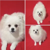 processed/73fbab44-e157-42cf-9d98-67ebfa04315c/listing/5f303b69-329d-46cb-a3d8-833bee3600ca/48e79b42-cfe5-4737-8676-bf3effd69547