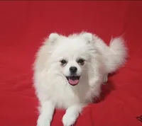 processed/73fbab44-e157-42cf-9d98-67ebfa04315c/listing/5f303b69-329d-46cb-a3d8-833bee3600ca/711d9592-dae0-4f25-9c44-470da63ba8a4