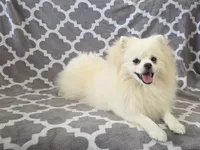 processed/73fbab44-e157-42cf-9d98-67ebfa04315c/listing/5f303b69-329d-46cb-a3d8-833bee3600ca/74100461-74f9-46dc-9f5d-a249061c1f41