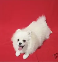 processed/73fbab44-e157-42cf-9d98-67ebfa04315c/listing/5f303b69-329d-46cb-a3d8-833bee3600ca/7c6496d3-6cfe-4664-b225-aec7eaabc74b