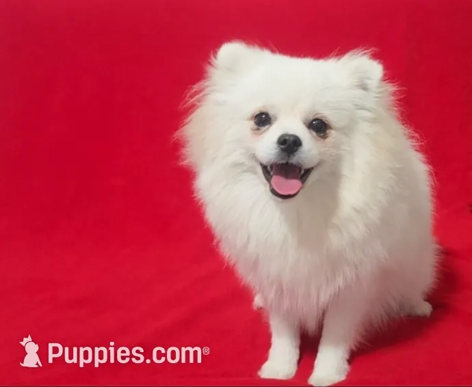 processed/73fbab44-e157-42cf-9d98-67ebfa04315c/listing/5f303b69-329d-46cb-a3d8-833bee3600ca/9034c78b-3e01-47be-bdcc-1b5c20832c46