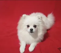 processed/73fbab44-e157-42cf-9d98-67ebfa04315c/listing/5f303b69-329d-46cb-a3d8-833bee3600ca/f2d39979-d3eb-465e-a81c-7cd9c29b05bd