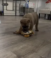 processed/740888eb-7877-4df4-bbf8-8818a9fc6a32/facility/bed9621d-c153-46b0-977c-87a10308850e