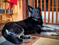 processed/7413453e-3c0e-4166-9906-8204c8685f00/facility/75a7cd73-307e-40a7-8c7e-5aad66cb008b