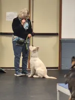 processed/7413453e-3c0e-4166-9906-8204c8685f00/facility/862d3f05-c7c7-4520-b80c-4ffebdd86997