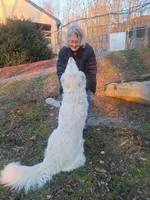 processed/7413453e-3c0e-4166-9906-8204c8685f00/facility/b049e54a-e312-4ade-af1b-cd363610b4ff