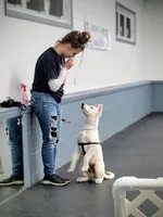 processed/7413453e-3c0e-4166-9906-8204c8685f00/facility/ddb2e322-b4f4-477e-9dce-a7f451b13a50