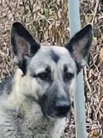 processed/7413453e-3c0e-4166-9906-8204c8685f00/facility/ebae8ef8-984b-485d-bfdb-b532065e2266