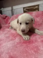 processed/741c4a0b-adef-4856-a2f2-6708ee82397d/listing/0053698a-160d-46c1-a306-a5c6e74e1ea8/83176dc8-ed19-4230-8b56-7274a9b957a3